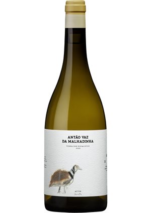 Antão Vaz da Malhadinha, Vinha da Eucaliptos  2020 - Økologisk