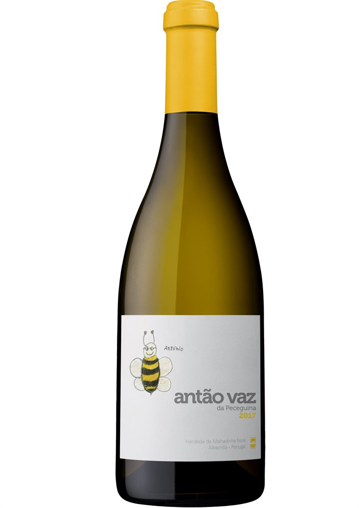 Antão Vaz da Peceguina 2017